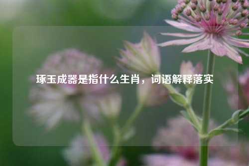 琢玉成器是指什么生肖，词语解释落实